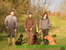 Hundetræning forår 2016